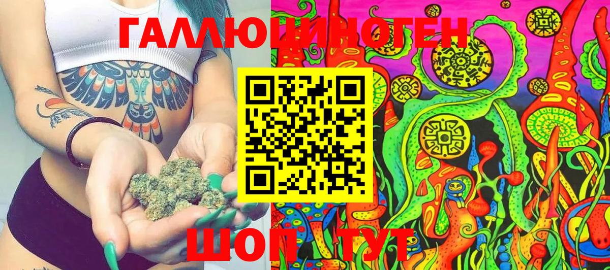Галлюциногенные грибы Psilocybe Пугачёв