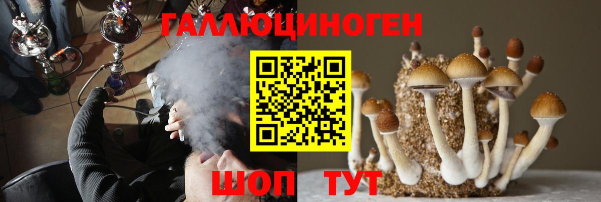 Галлюциногенные грибы MAGIC MUSHROOMS  Вход с VPN  Пугачёв 